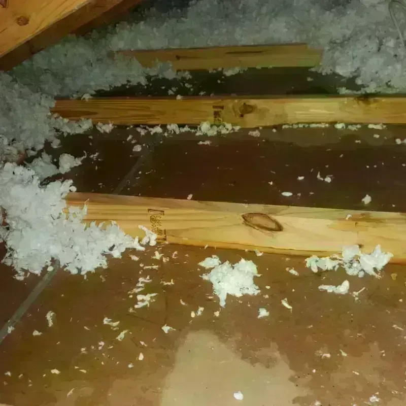 Attic Water Damage in Commerce, CA