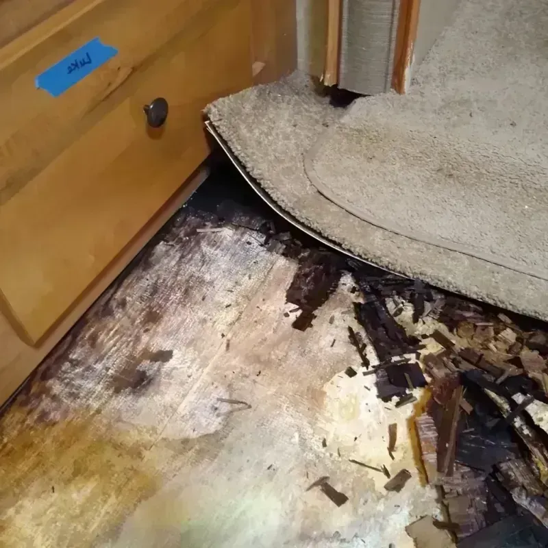 Wood Floor Water Damage in Commerce, CA